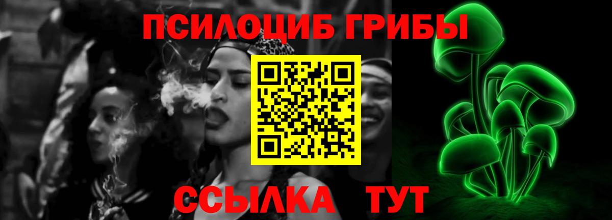 Нововоронеж  Псилоцибиновые грибы Magic Shrooms  Вход с VPN 
