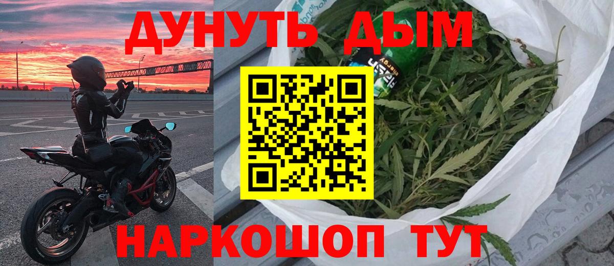 Шишки марихуана планчик Нововоронеж